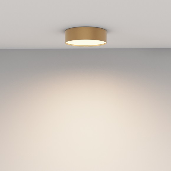 Потолочный светильник Technical C032CL-24W3K-RD-MG Потолочный светильник Technical C032CL-24W3K-RD-MG