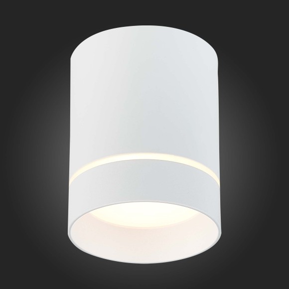 ST115.532.12 Светильник потолочный Белый LED 1*12W 3000K 840Lm Ra90 120° IP20 D79xH100 170-240V Накладные светильники