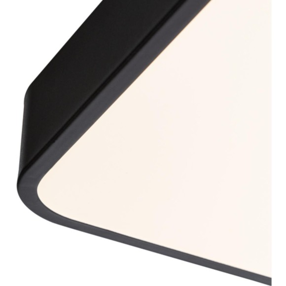 Настенно-потолочный светильник Arte Lamp A2669PL-1BK SCENA светодиодный LED 100W