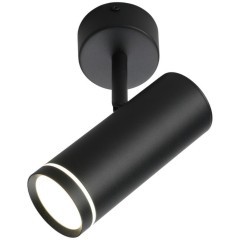 Светильник настенно-потолочный OML-102209-12 Светильник настенно-потолочный OML-102209-12