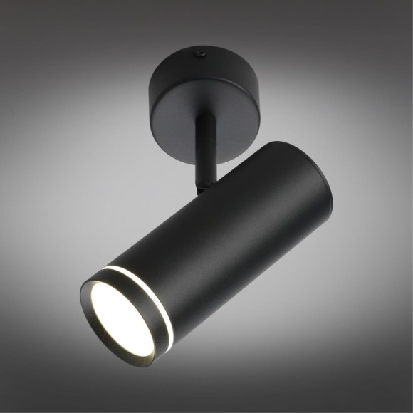 Светильник настенно-потолочный OML-102209-12