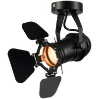 Потолочный светильник Lussole  Thornton GRLSP-9838