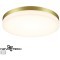 Уличный потолочный светильник Novotech 358892 OPAL IP54 светодиодный LED 40W