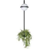 10121W/B Настенный светильник LOFT IT Jardin