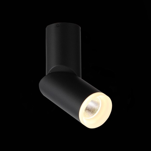 ST107.402.10 Светильник потолочный Черный LED 1*10W 3000K 780Lm Ra80 24 D50xH168 170-240V Накладные светильники
