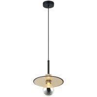 Подвесной светильник с 1 плафоном Lussole LSP-8488 BUTLER IP21 под лампу 1xE27 40W