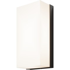 Настенный светильник (бра) Outdoor O454WL-L10GF3K Настенный светильник (бра) Outdoor O454WL-L10GF3K