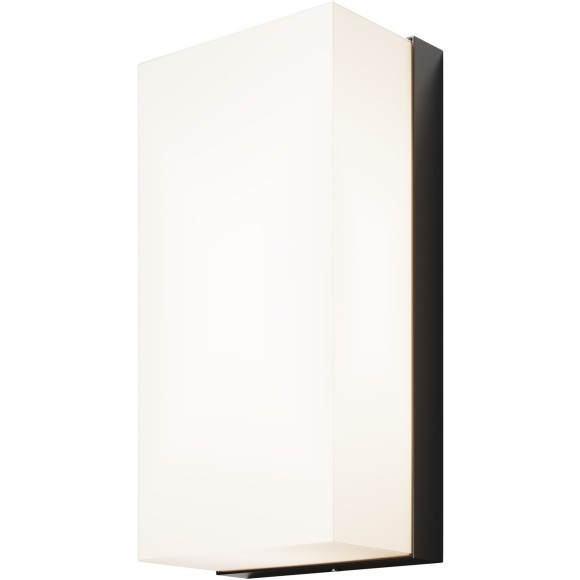 Настенный светильник (бра) Outdoor O454WL-L10GF3K