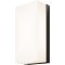 Настенный светильник (бра) Outdoor O454WL-L10GF3K