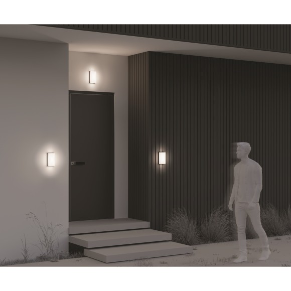 Настенный светильник (бра) Outdoor O454WL-L10GF3K