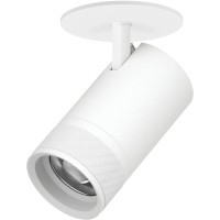 Светильник встраиваемый 40W 2800LM 20-55 град 2700;4000;6000К Canno Pro Lightstar C4406RS