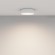 Потолочный светильник Technical C032CL-24W4K-RD-W
