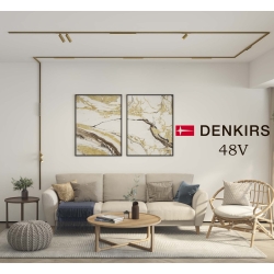 Denkirs SHINE (48V, без упр. особый цвет металла)